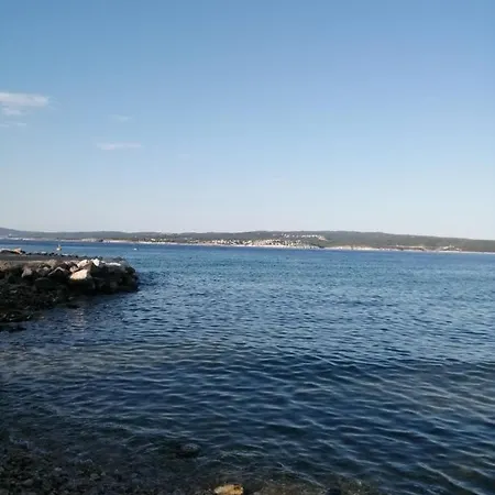 Tortoise Appartement