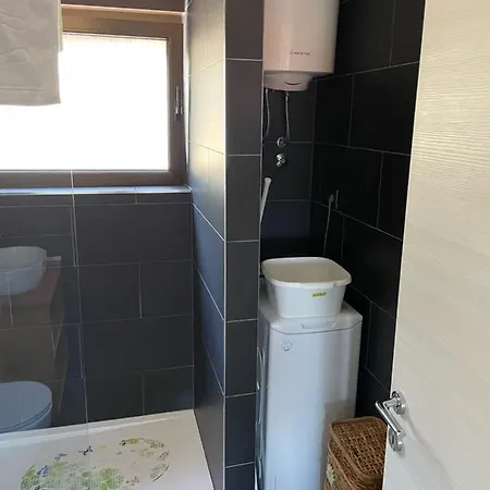 Apartament Tortoise *